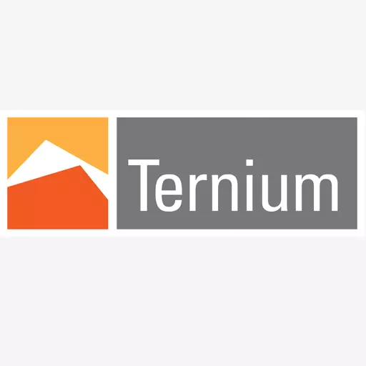 Logo da Ternium Brasil