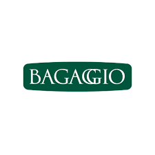 Bagaggio abre 86 vagas de emprego de diversos cargos